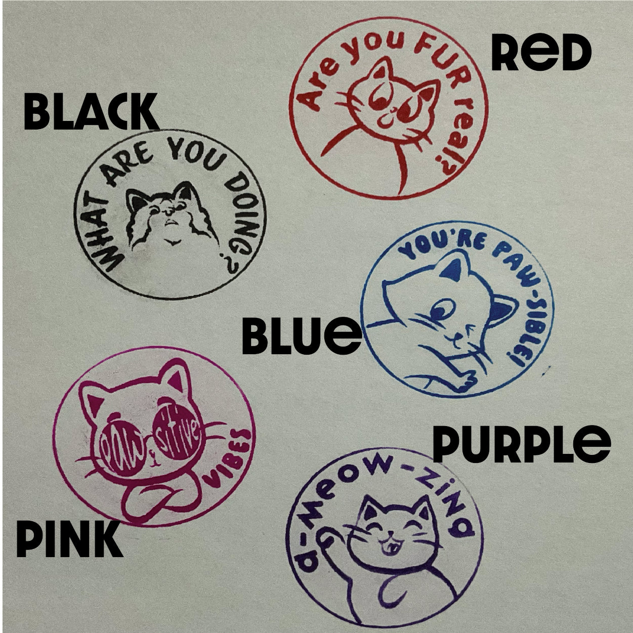 Cat Collection
